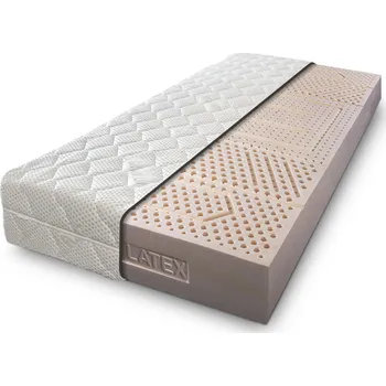 Matrace EcoNaturaFlex 22cm 90x200 cm Potah Silver