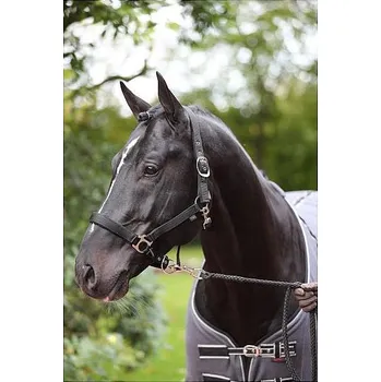 Ohlávka pro koně - Covalliero Dexter podložená fleecem černá - vel. full