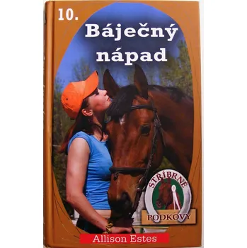 Báječný nápad - Allison Estes