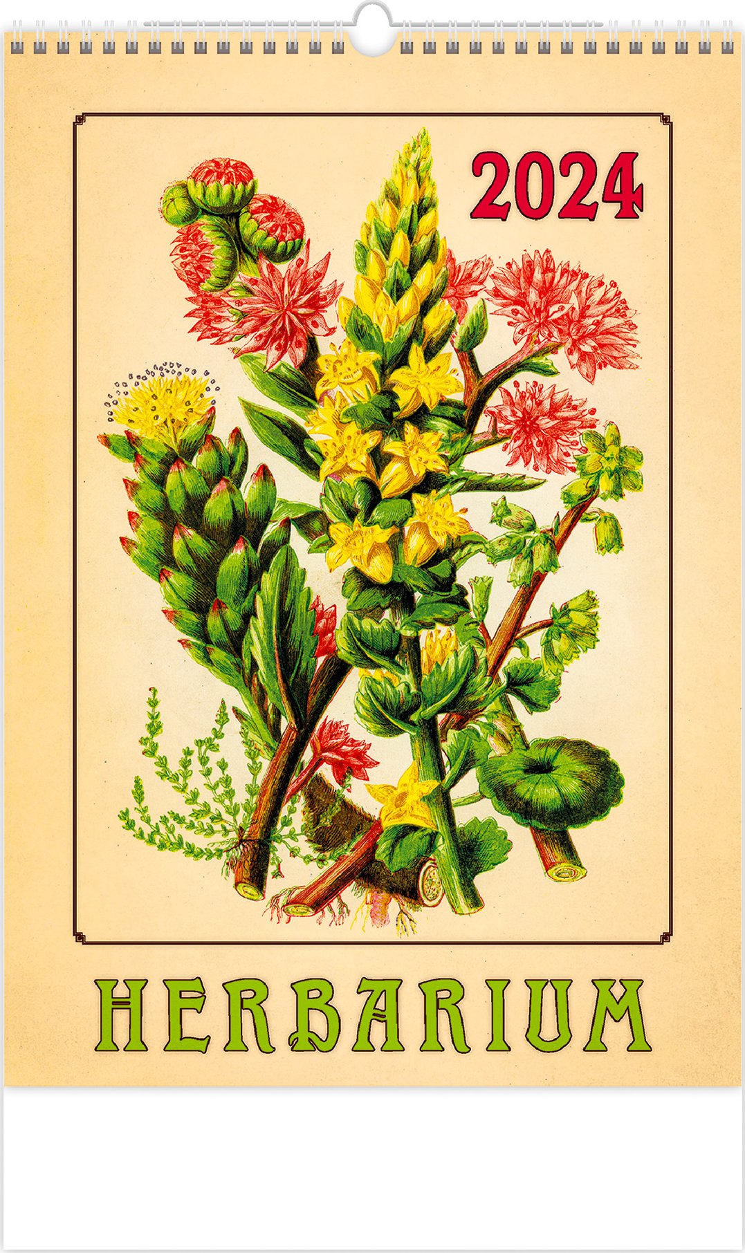 helma365-n-st-nn-kalend-herbarium-2024-od-189-k-zbozi-cz