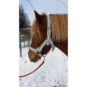 Jezdectví Stájová ohlávka Maxi pro chladnokrevníky bílo-zelená