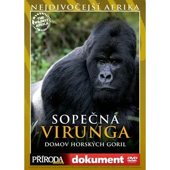 DVD film DVD Sopečná Virunga: domov horských goril (Nejdivočejší Afrika)