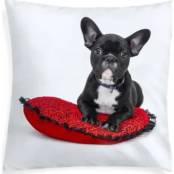 Povlak na dekorativní polštářek XPOSE® Mikroplyšový povlak na polštář BULDOČEK (digitální tisk) 40x40 cm, Mikroplyš + Prodloužená možnost vrácení zboží do 50 dnů