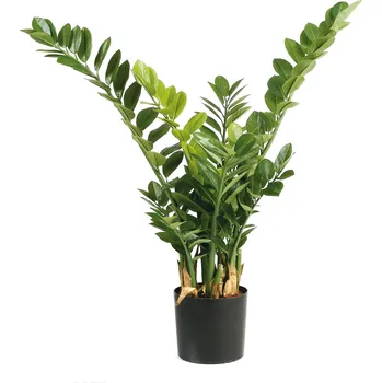 umělá květina Umělá rostlina Zamiifolia - Zamioculcas, 90cm