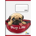 Sešit č. 544 - A5, 40 listů, linkovaný