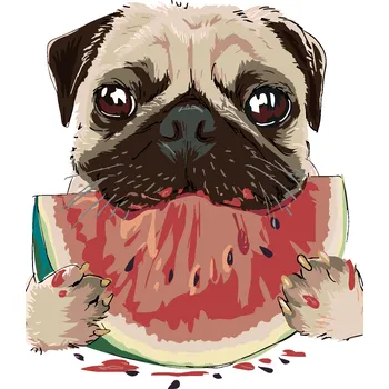 ZUTY Malování podle čísel - PES S MELOUNEM Rozměr: 40x50 cm, Rámování: vypnuté plátno na rám