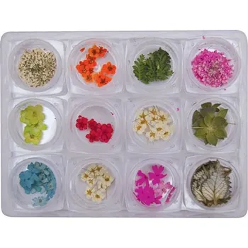 Zdobení - Sušené květy a lístky - sada 12ks