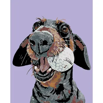ZUTY Malování podle čísel - PES S GOLFOVÝM MÍČKEM Rozměr: 40x50 cm, Rámování: bez rámu a bez vypnutí plátna