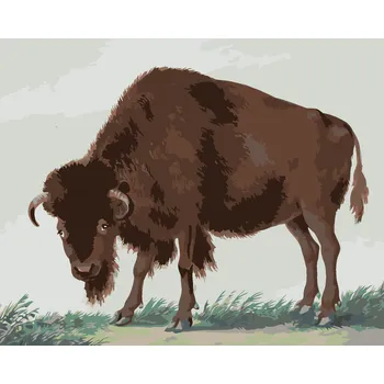 ZUTY Malování podle čísel - BIZON (I. VAN HAASTERT) Rozměr: 40x50 cm, Rámování: bez rámu a bez vypnutí plátna