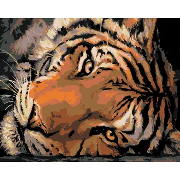 ZUTY Malování podle čísel - JASNÝ TYGŘÍ POHLED Rozměr: 40x50 cm, Rámování: bez rámu a bez vypnutí plátna