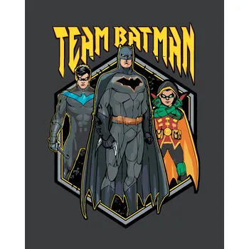 ZUTY Malování podle čísel - TÝM BATMAN Rozměr: 40x50 cm, Rámování: vypnuté plátno na rám