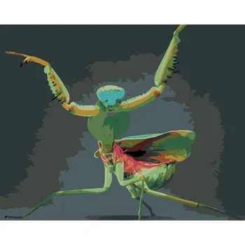 ZUTY Malování podle čísel - KUDLANKA NÁBOŽNÁ Rozměr: 40x50 cm, Rámování: vypnuté plátno na rám