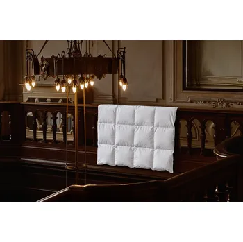 přikrývka Ložnice21, Ložnice21. Péřová přikrývka Excellent Rozměr: 140x220 cm (650 g)