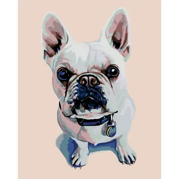 ZUTY Malování podle čísel - BÍLÝ BULDOČEK S MODRÝM OBOJKEM Rozměr: 40x50 cm, Rámování: bez rámu a bez vypnutí plátna
