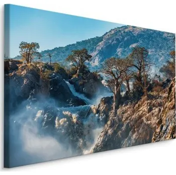 Plátno Stromy U Vodopádu Varianta: 40x30