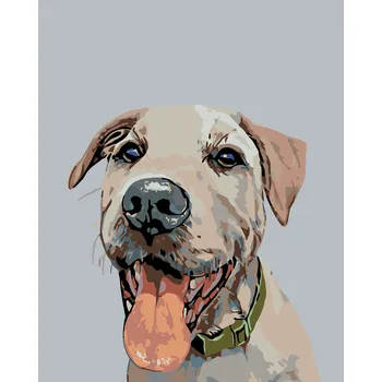 ZUTY Malování podle čísel - PES SE ZELENÝM OBOJKEM Rozměr: 40x50 cm, Rámování: bez rámu a bez vypnutí plátna