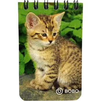 Zápisník Kroužkový notýsek s kočkami v růžích - design Alex Clark Číslo: 2