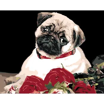 ZUTY Malování podle čísel - MOPS Rozměr: 40x50 cm, Rámování: bez rámu a bez vypnutí plátna