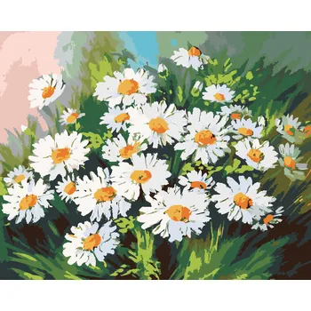 ZUTY Malování podle čísel - KOPRETINY V TRÁVĚ Rozměr: 40x50 cm, Rámování: bez rámu a bez vypnutí plátna