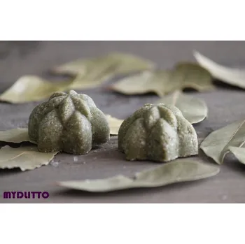 Šampon Vavřínový šampuk 18 - 20 g