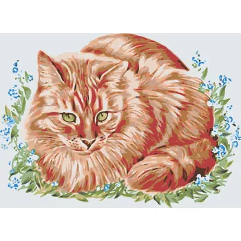 ZUTY Malování podle čísel - ZRZEK V TRÁVĚ Rozměr: 40x50 cm, Rámování: vypnuté plátno na rám