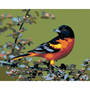 ZUTY Malování podle čísel - KARDINÁL ČERNOHLAVÝ Rozměr: 40x50 cm, Rámování: vypnuté plátno na rám