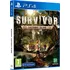 Hra pro PlayStation 4 Survivor: Castaway Island PS4