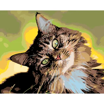 ZUTY Malování podle čísel - MOUROVATÝ KOCOUR Rozměr: 40x50 cm, Rámování: bez rámu a bez vypnutí plátna