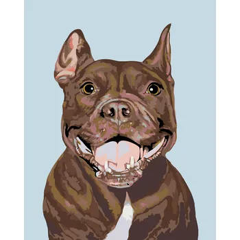 ZUTY Malování podle čísel - PITBULL Rozměr: 40x50 cm, Rámování: bez rámu a bez vypnutí plátna