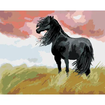 ZUTY Malování podle čísel - ČERNÝ KŮŇ NA LOUCE Rozměr: 40x50 cm, Rámování: bez rámu a bez vypnutí plátna