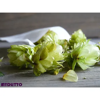 Dekorativní polštářek Chmelový polštářek