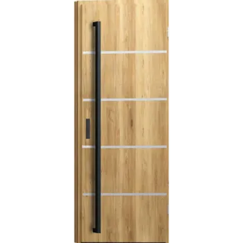 Vchodové dveře Ocelové venkovní dveře WIKED - VZOR 26K