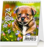 Helma365 Stolní kalendář Mini Puppies…