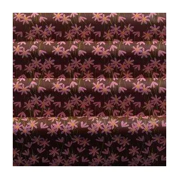 Jedlá dekorace na dort Transfer fólie 40x25cm Daisy Rose - PCB