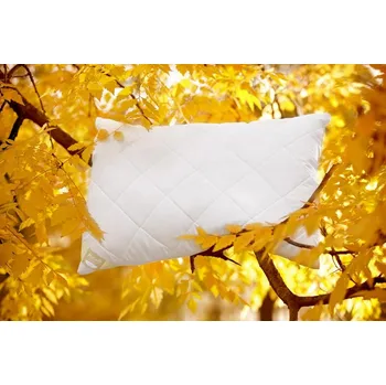 Polštář Ložnice21, Ložnice21. Polštář Aloe Vera pro hluboký spánek Rozměr: 40x40 cm bez zipu (260 g)