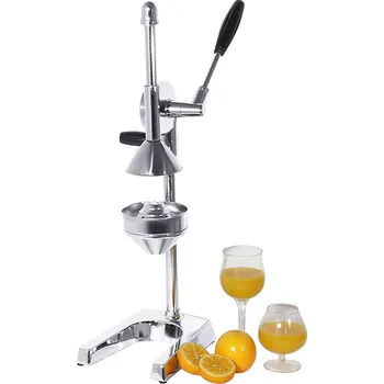 Lis na citrusy Lis na citrusy 600 mm | CONTACTO, 1099/520