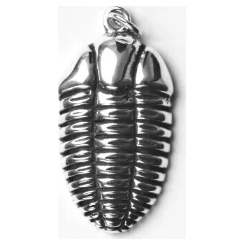 Přívěsek Stříbrný přívěsek trilobit - P204 (Stříbrný přívěsek trilobita)