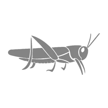 Samolepící dekorace SAMOLEPKA Kobylka 002 pravá (17 - šedá) NA AUTO, NÁLEPKA, FÓLIE, POLEP, TUNING, VLASTNÍ TEXT, TISK, AUTOSAMOLEPKY.cz, POLEPY, OBRÁZEK, LOGO, SAMOLEPKY