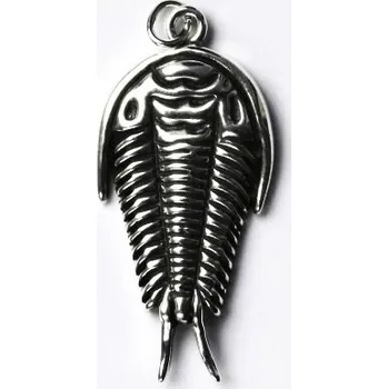 Přívěsek Stříbrný přívěsek trilobit - P203 (Stříbrný přívěsek trilobita)