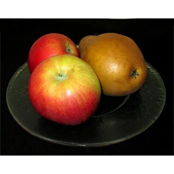 Talíř talíř kulatý 20cm čiré sklo (ruční výroba)