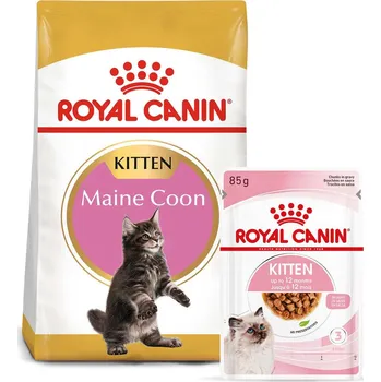 Krmivo pro kočku ROYAL CANIN KITTEN Maine Coon 4 kg + Kitten v omáčce 12× 85 g
