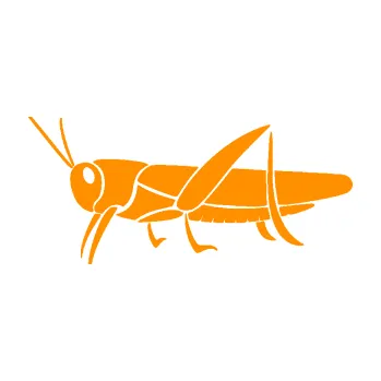 Samolepící dekorace SAMOLEPKA Kobylka 002 levá (06 - oranžová) NA AUTO, NÁLEPKA, FÓLIE, POLEP, TUNING, VLASTNÍ TEXT, TISK, AUTOSAMOLEPKY.cz, POLEPY, OBRÁZEK, LOGO, SAMOLEPKY