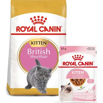 Krmivo pro kočku ROYAL CANIN KITTEN British Shorthair 2 kg + Kitten v omáčce 12× 85 g
