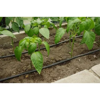 Příslušenství pro skleník Kapková závlaha, kompletní systém - typ A