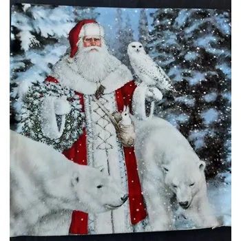 Povlak na dekorativní polštářek Povlak na polštářek vánoční Santa