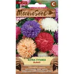 MoravoSeed Astra čínská vysoká směs…