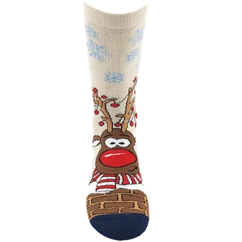 Pánské ponožky Ponožky - Termo Rudy 5 (Velikost 35-41)