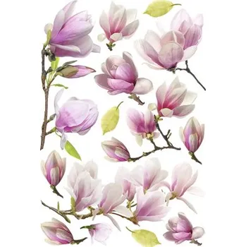 Samolepící dekorace Samolepka na zeď Magnolie 45x65 cm