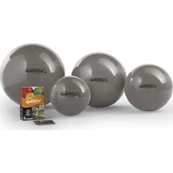 Gymnastický míč Ledragomma - Tonkey GymnastikBall 75 cm cvičební míč - Ledragomma Barva: stříbrná