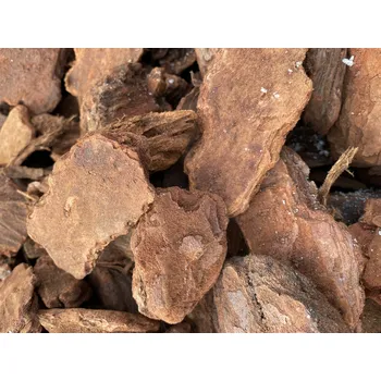 Substrát Kůra piniová středomořská | 60 - 100 mm | pro orchideje a epifyty | minisubstrát 1 litr